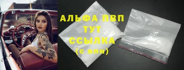 сатива Володарск
