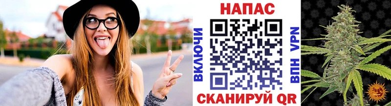 Каннабис план  Северская 